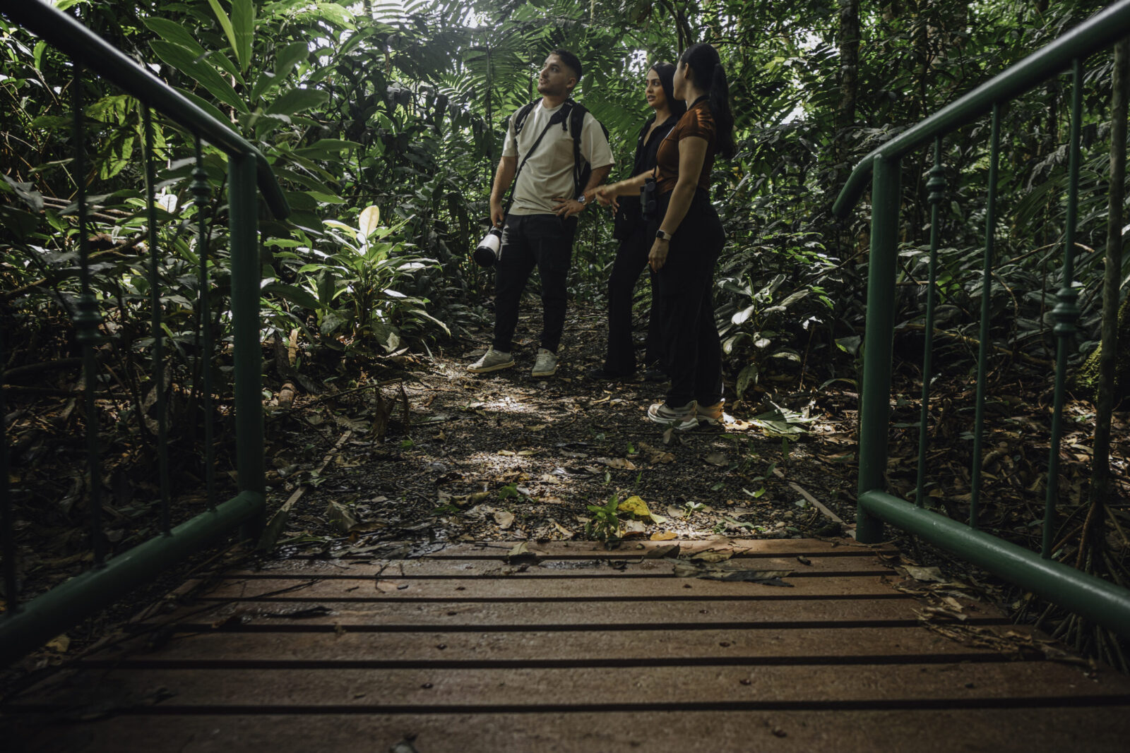 naturalist guide pointing out rainforest wildlife on La Fortuna nature trail
