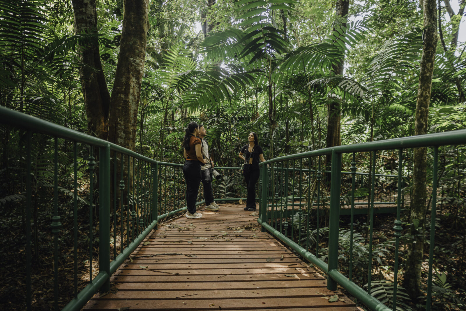 Tourists looking up with binoculars on a birding walk in La Fortuna Costa Rica