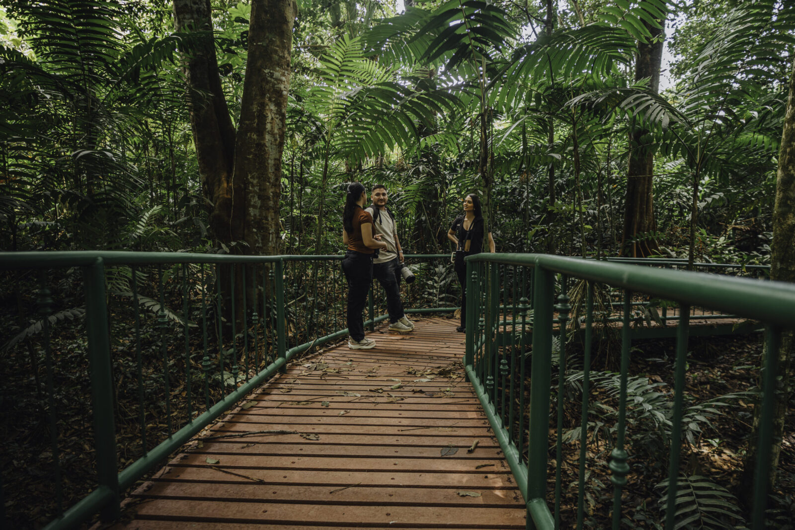 Self-guided nature trail path in La Fortuna rainforest