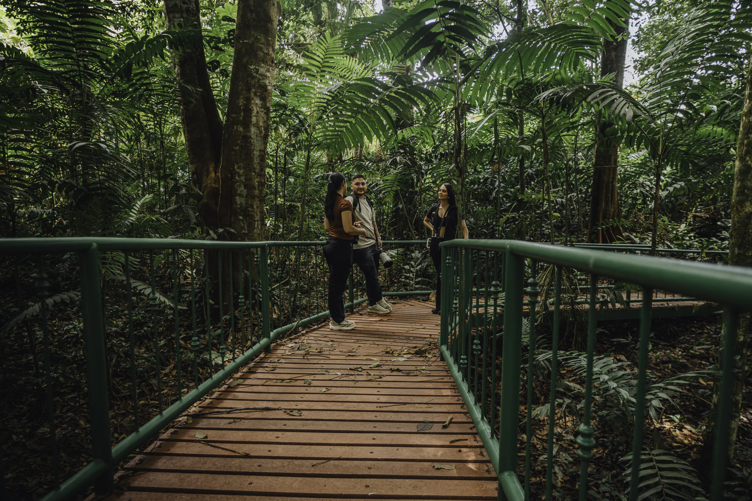 Self-guided nature trail path in La Fortuna rainforest
