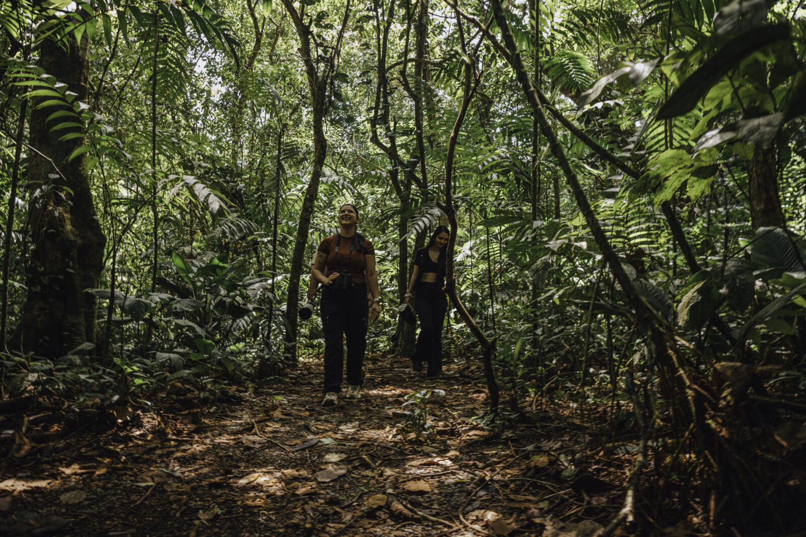 Naturalist guide leading a small group on a rainforest trail during the twilight nature walk in La Fortuna Costa Rica.