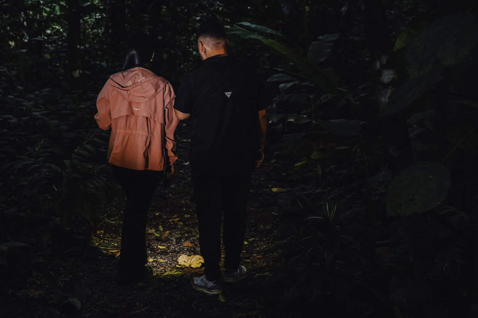 Guide using a professional spotting scope and flashlights for tourists on a twilight nature walk in La Fortuna.