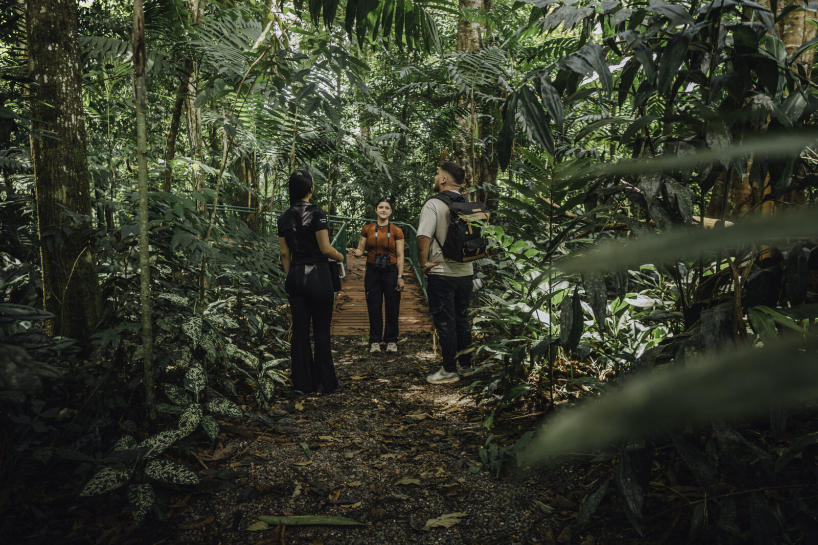 Hikers crossing a wooden bridge on an Arenal guided trail tour