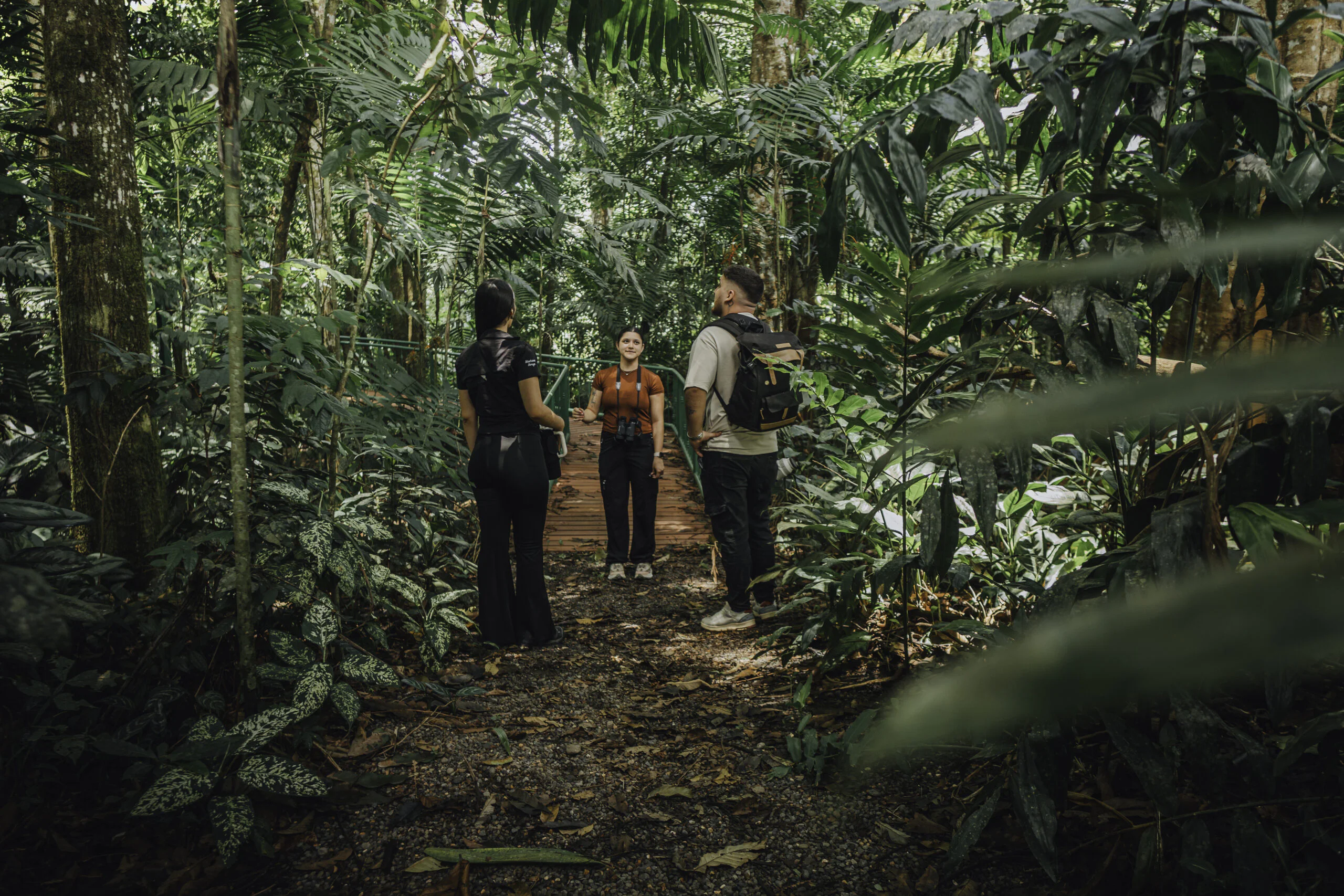 Hikers crossing a wooden bridge on an Arenal guided trail tour