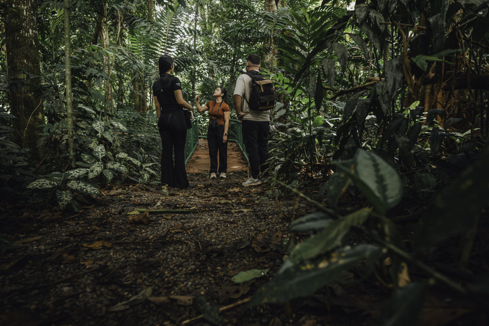Best guided tours in La Fortuna Costa Rica showing tourists exploring rainforest trails and wildlife habitats
