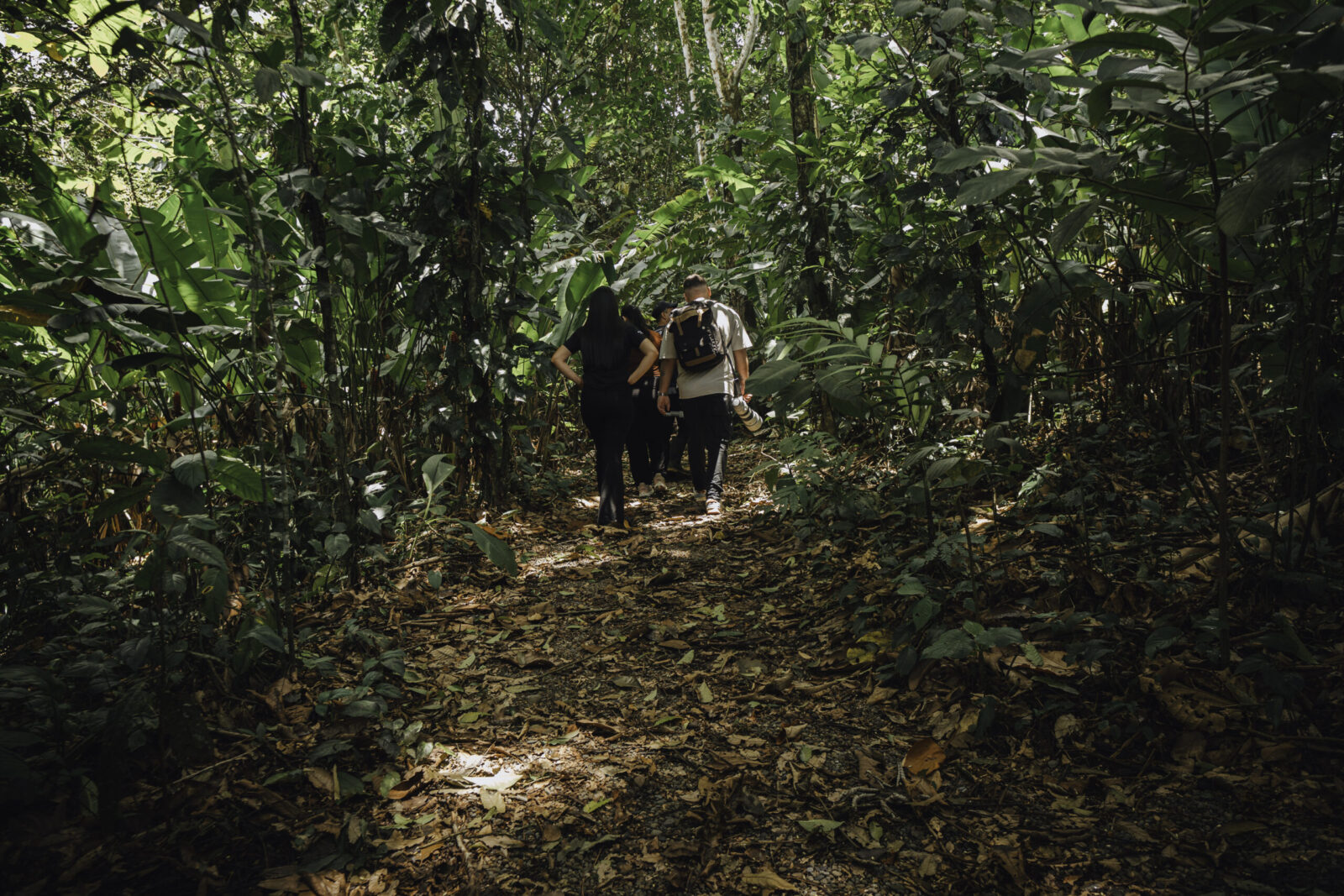 Hikers walking on Arenal trails with scenic volcano view in background
